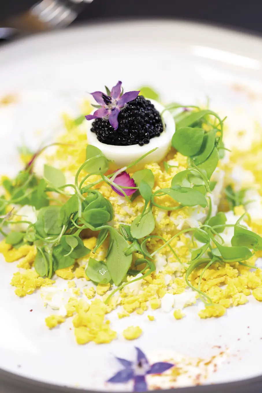 Mimosa d'œuf, remoulade de céleri rave aux agrumes, caviar de hareng fumé
