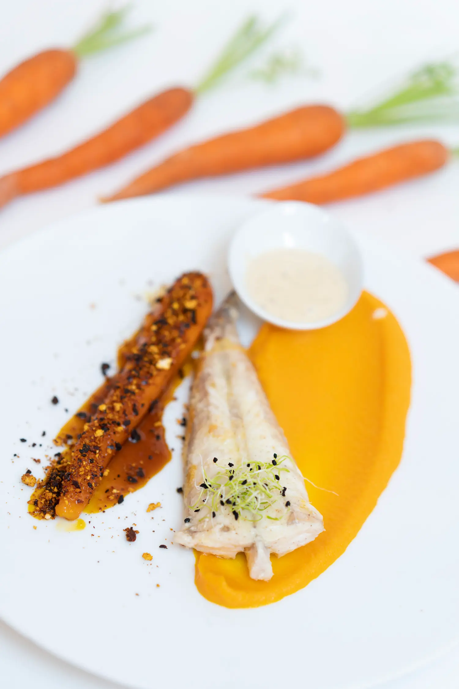 Queue de lotte confite au jus de carottes et chorizo ibérique, beurre de badiane