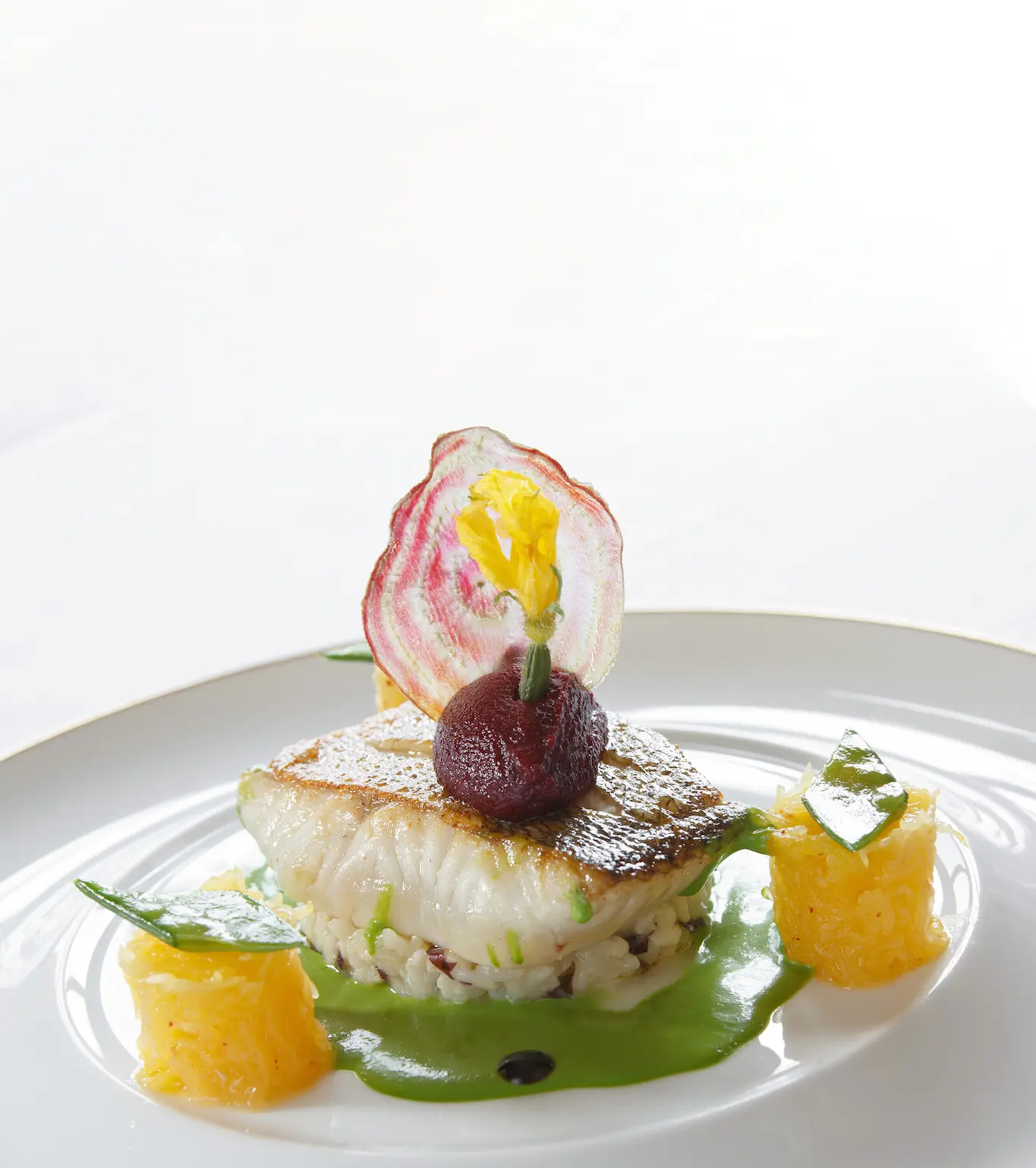 Dos de Sandre, Risotto aux Algues, Dulses et courge spaghetti, crème de persil