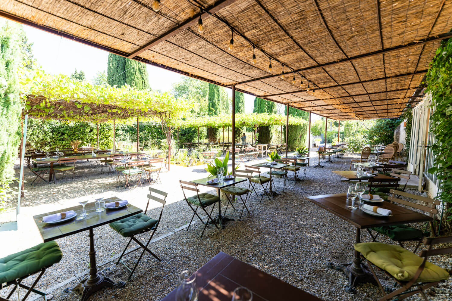 Edù, photo 4