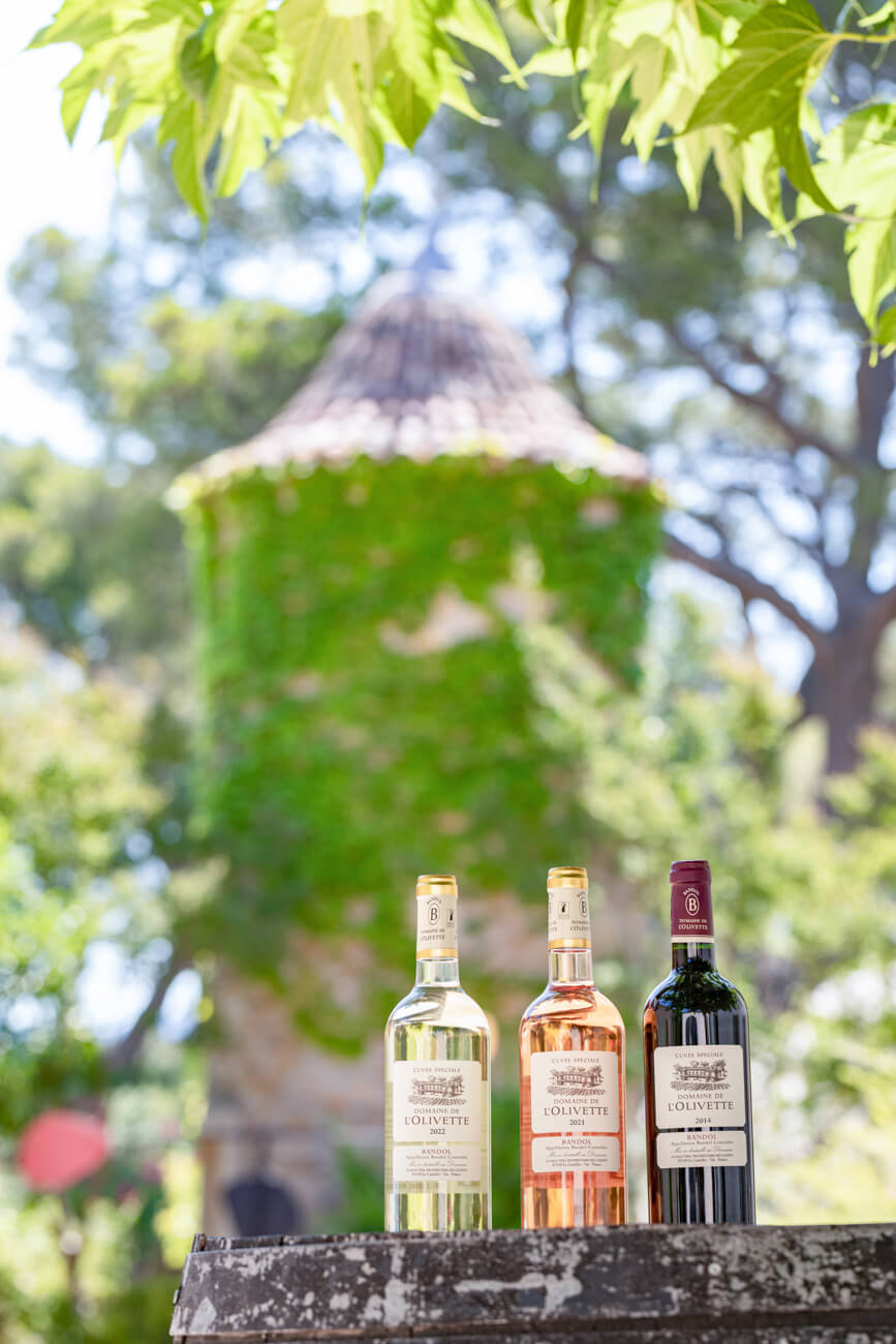 Domaine de l'Olivette, photo 4