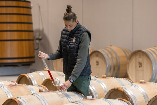 Domaine des Alpilles, photo 2