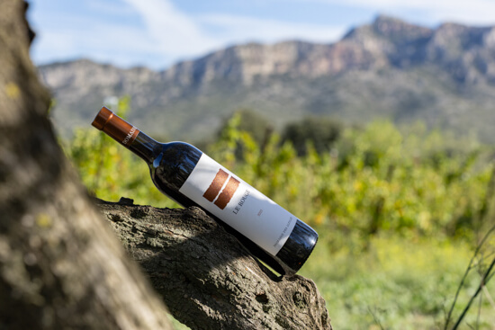 Domaine des Alpilles, photo 3