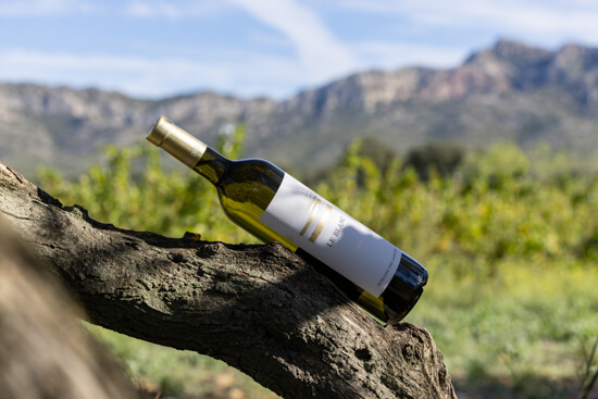 Domaine des Alpilles, photo 1