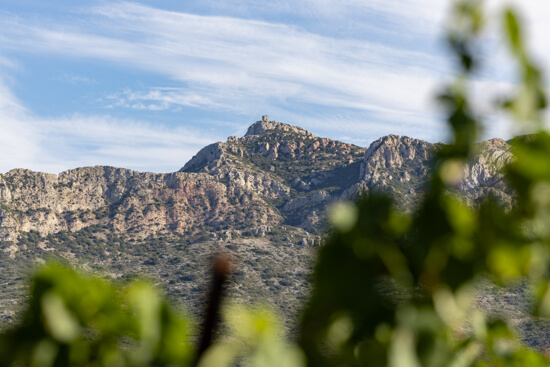 Domaine des Alpilles, photo 5