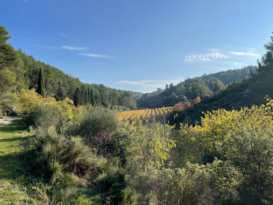 Domaine Dalméran, photo 2