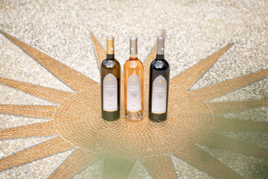 Château Romanin, photo 2