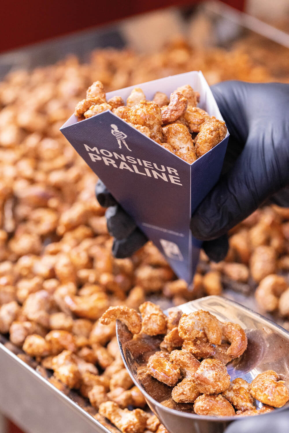 Monsieur Praline, photo 6