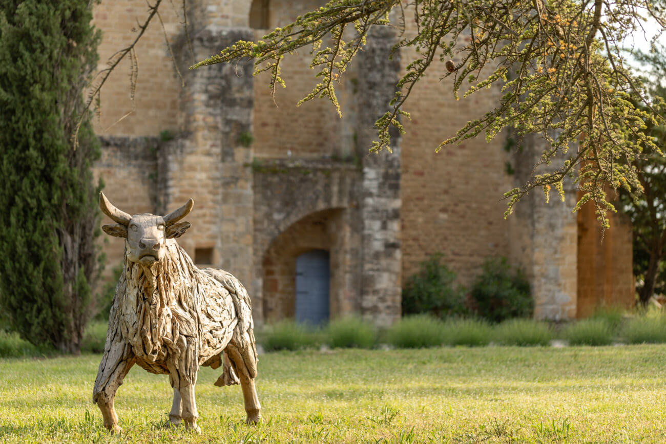 Château Saint-Pierre de Mejans, photo 6