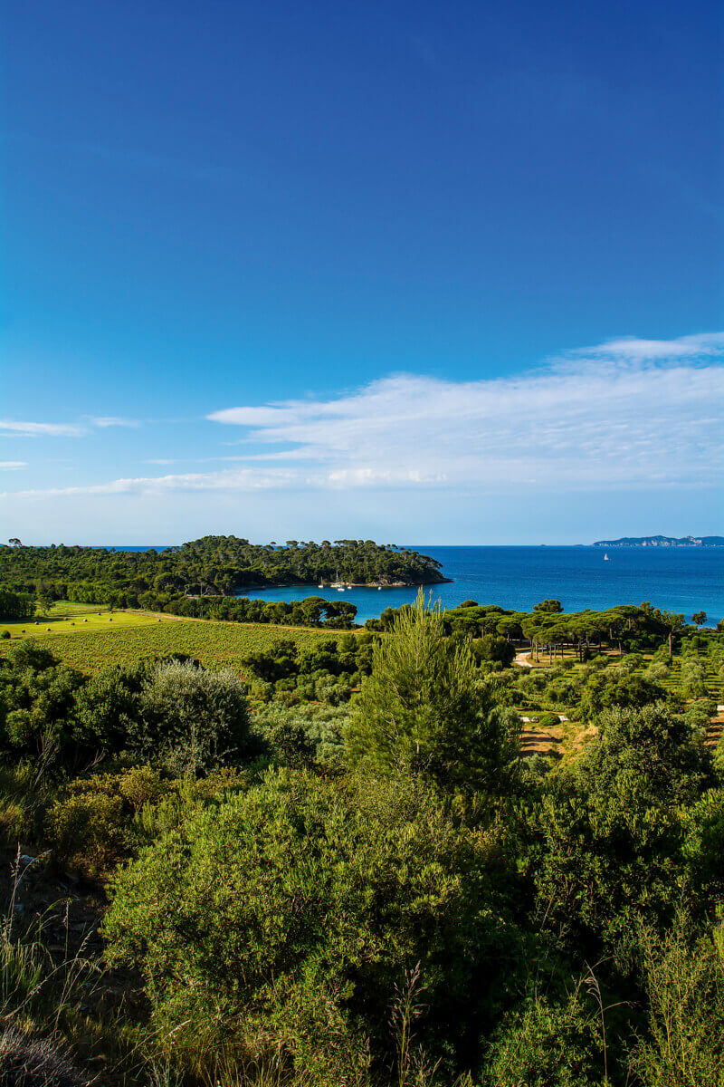 Château Léoube, photo 9