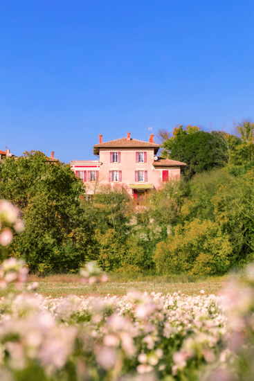 Château Montaurone, photo 13