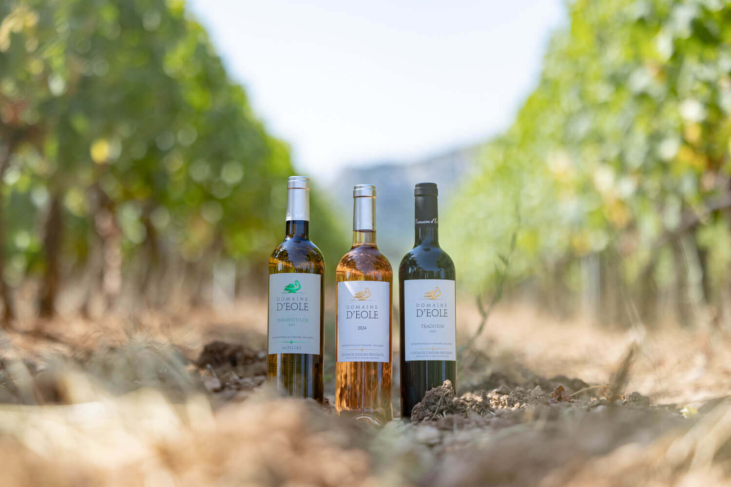 Domaine d'Eole, photo 2