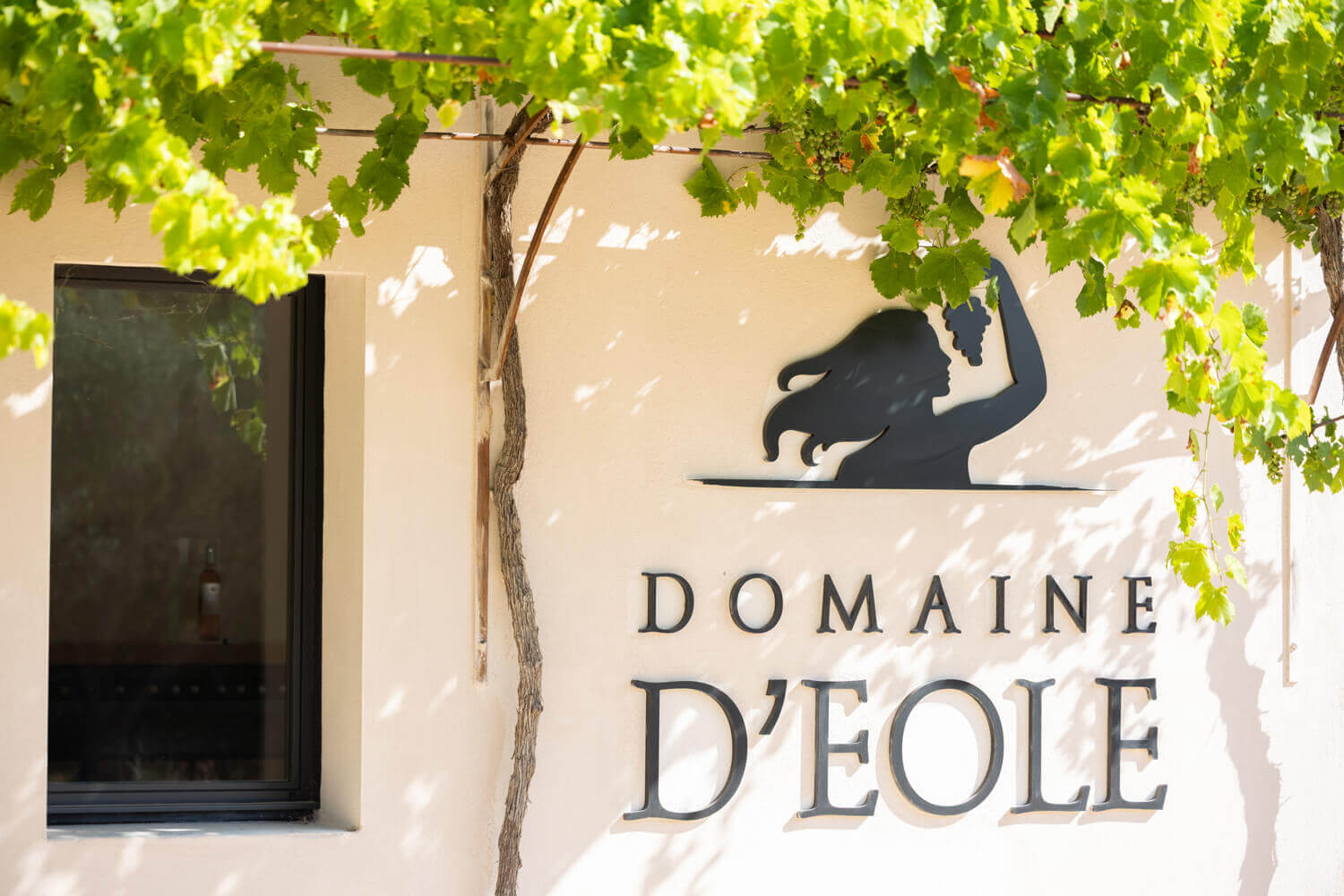 Domaine d'Eole, photo 5