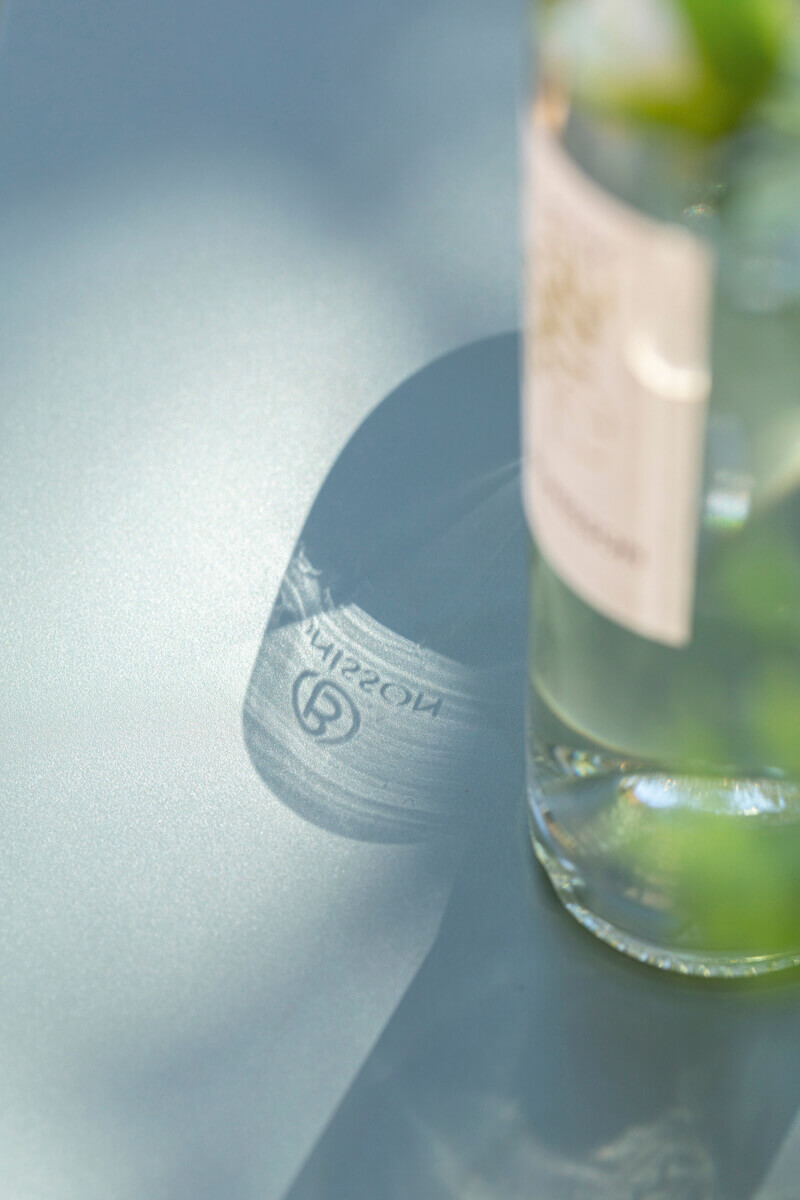 Château Bonisson, photo 11