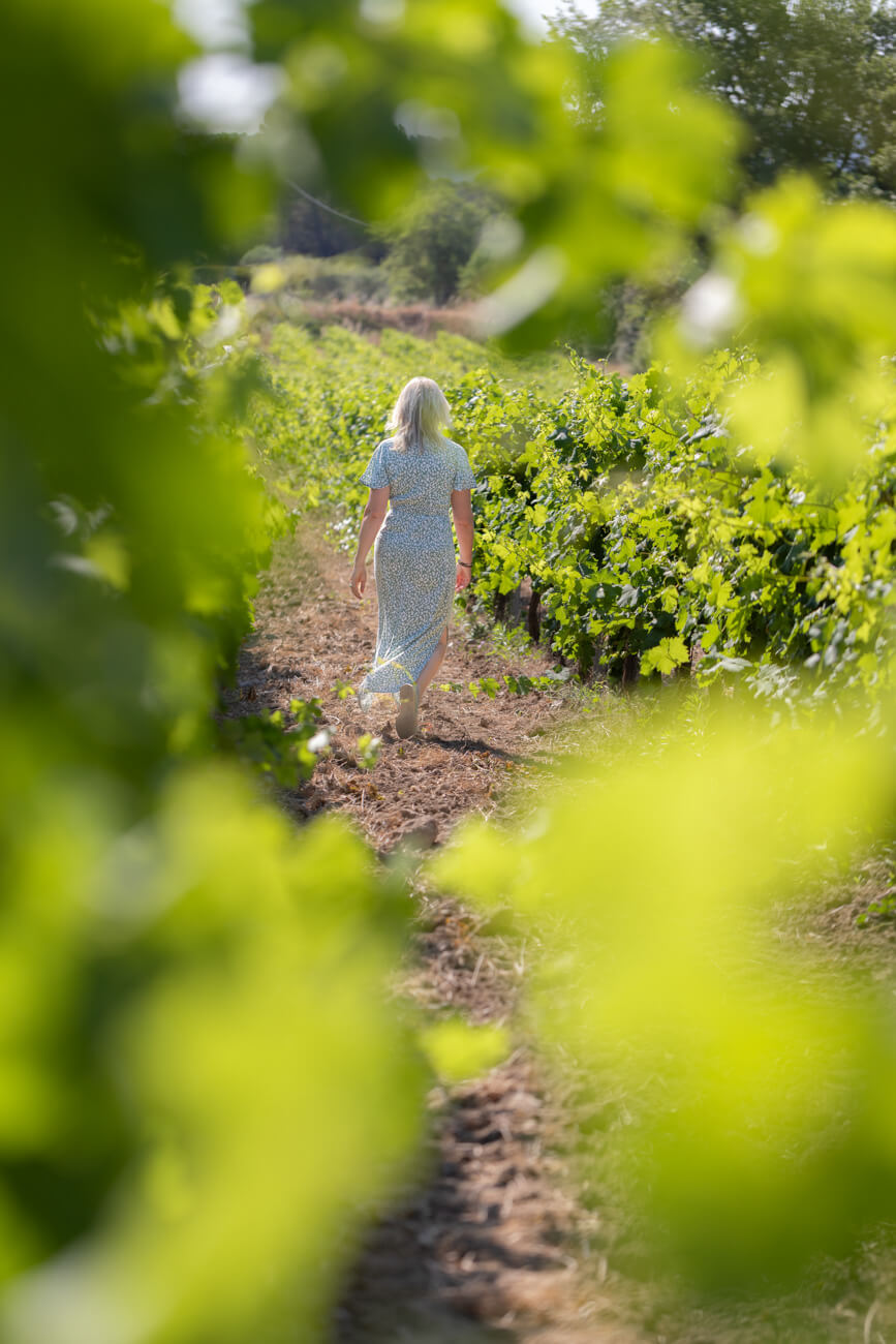 Domaine Bagrau, photo 3