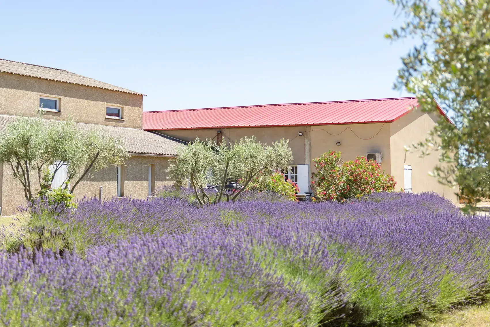 Domaine Bagrau, photo 2
