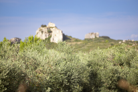 Château Virant, photo 7