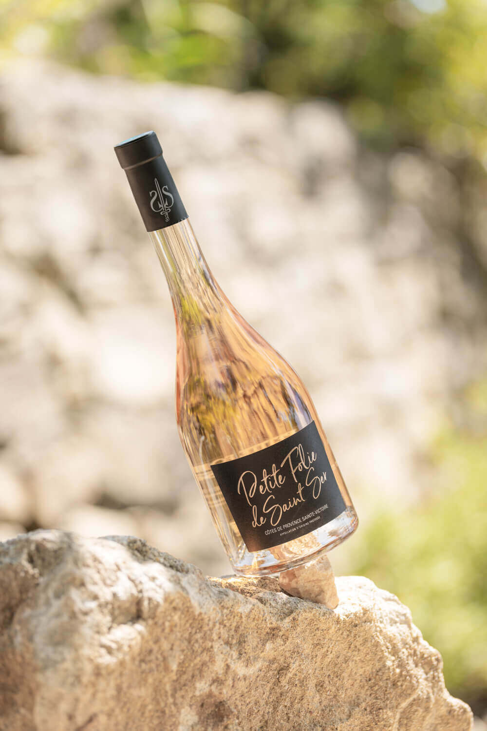 Domaine de Saint-Ser, photo 5