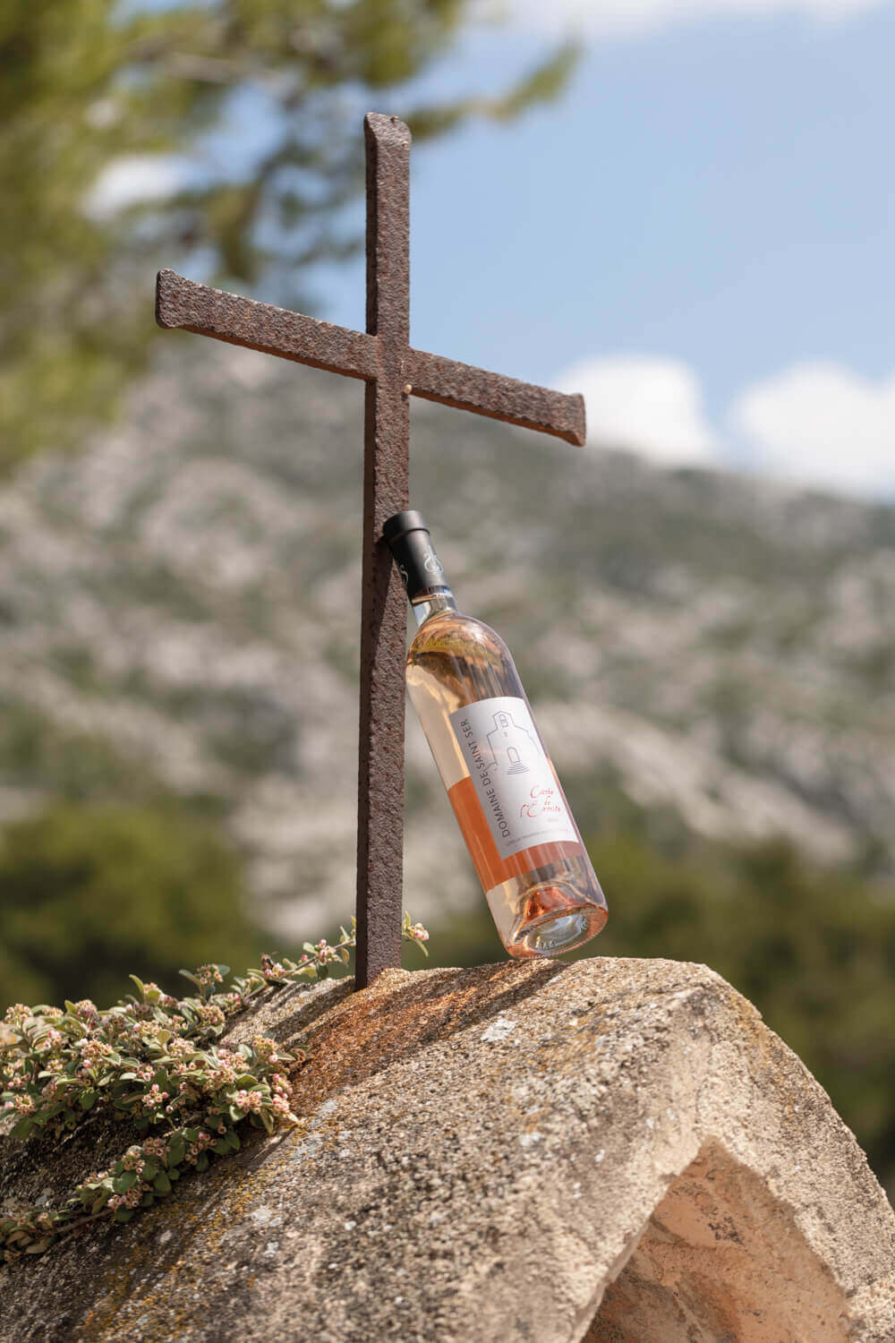 Domaine de Saint-Ser, photo 1