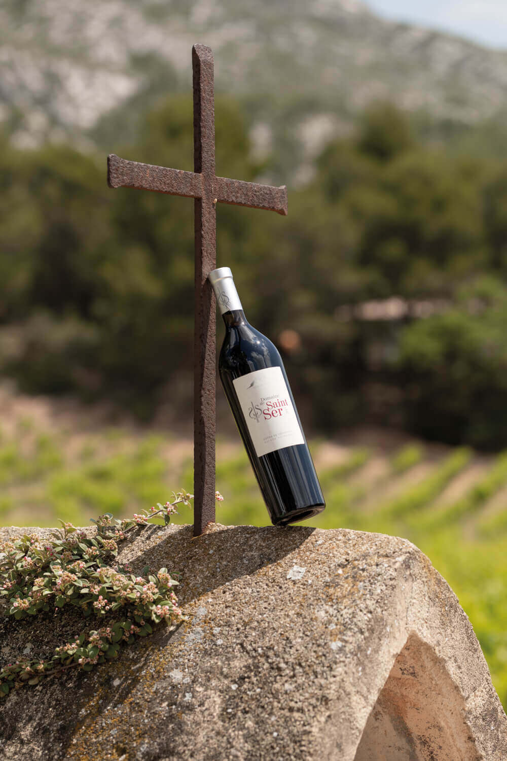 Domaine de Saint-Ser, photo 6