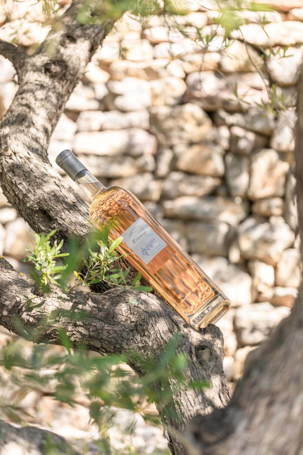 Domaine de Saint-Ser, photo 4