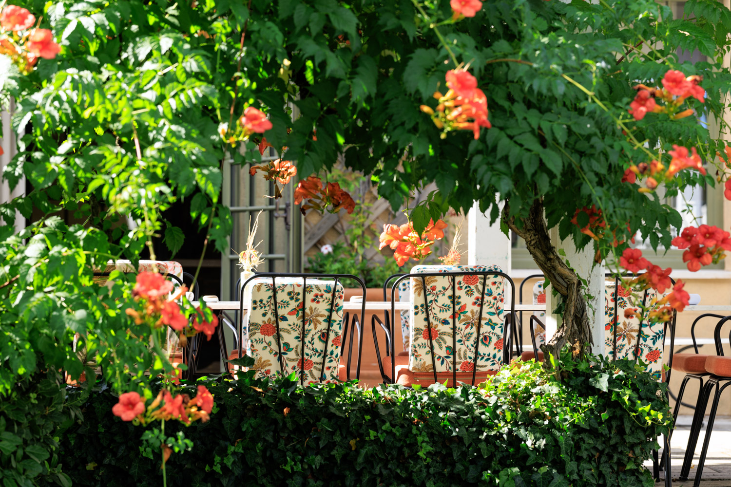 La Table du Pigonnet, photo 4